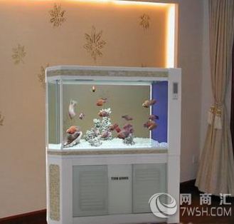 广州家居鱼缸，广州鱼缸定做，家居客厅鱼缸，家居鱼缸造景装饰广州市东坦科技有限公司